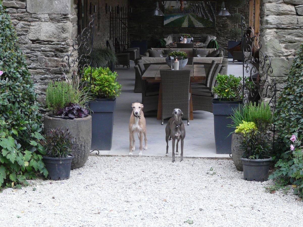 Manoir De Kerledan Hotel Carhaix-Plouguer Zewnętrze zdjęcie
